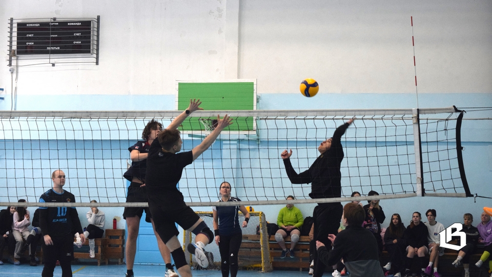 Праздничный волейбол в Выборге: «солянка», молодёжь и ветераны