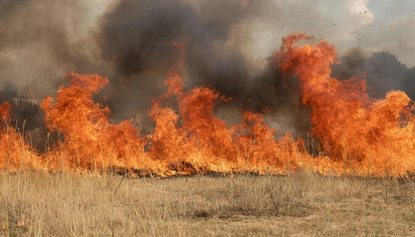 Поджог сухой травы запрещён