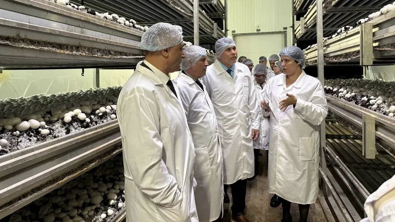  Делегация Кубы знакомится с производствами Ленинградской области