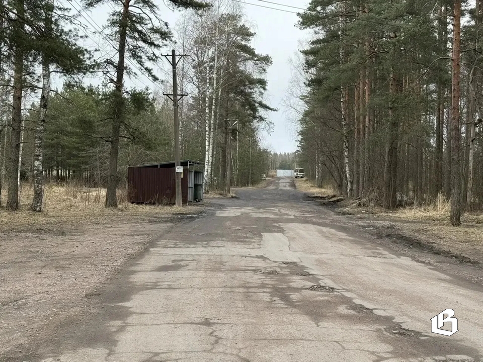 Приморск: намеченное воплощается в жизнь