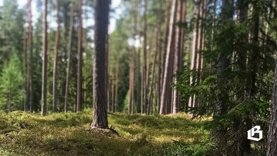 Хочешь стать охотником?