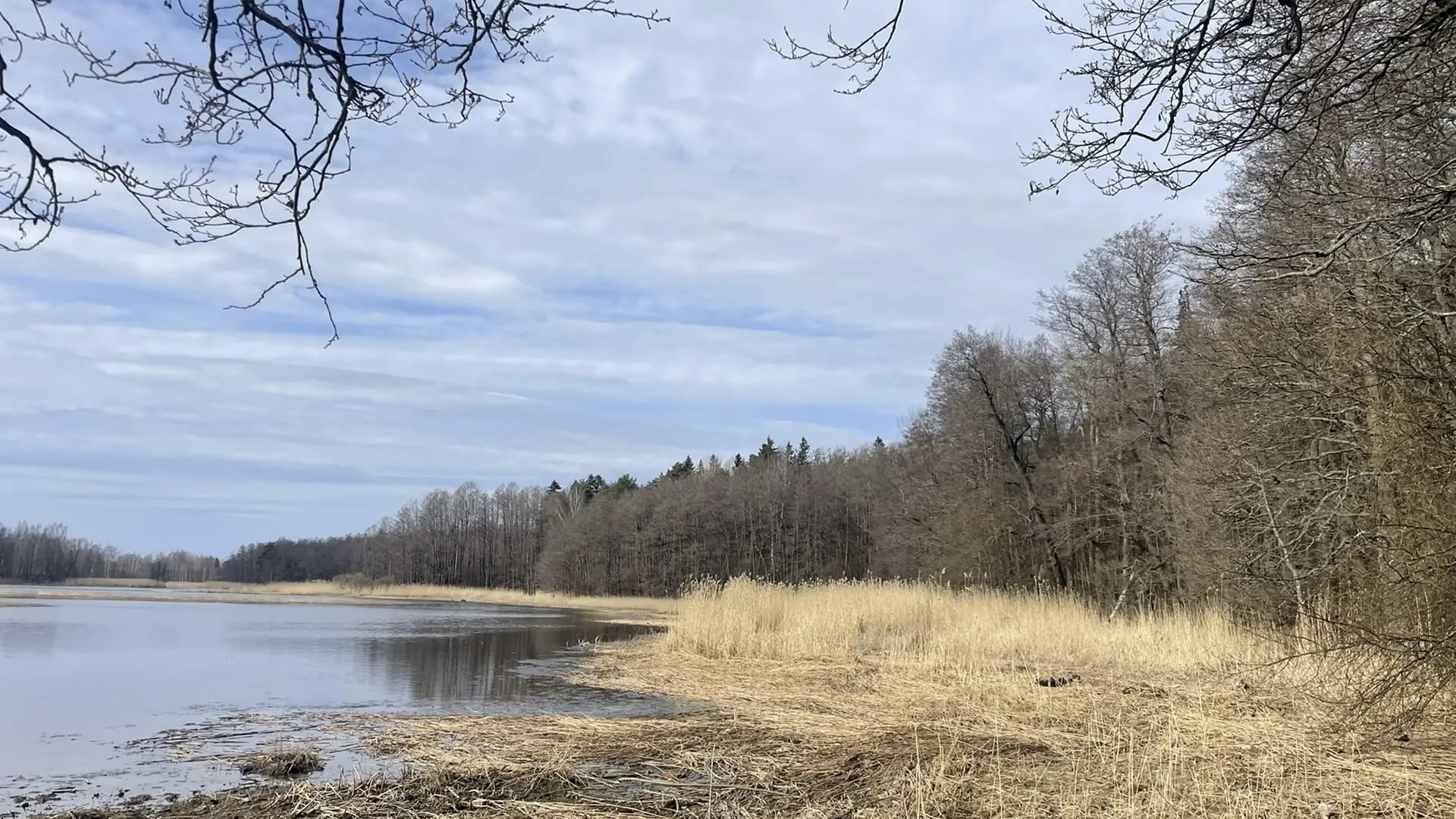 Лесная жемчужина Выборгского района: «Ландышевка»