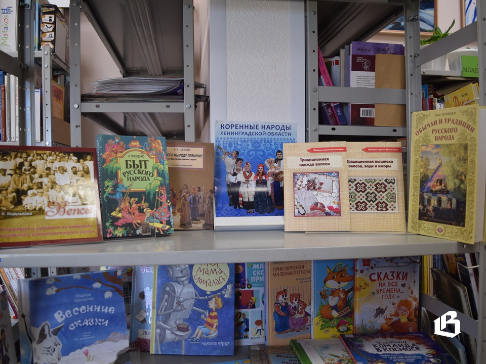 Библиотека в Высоцке как центр городского притяжения