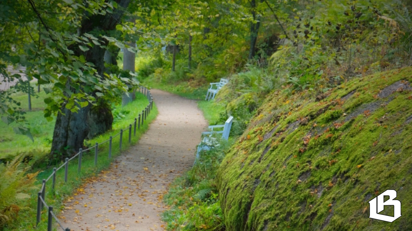 «Монрепо» на просушке: как идёт подготовка к летнему сезону?