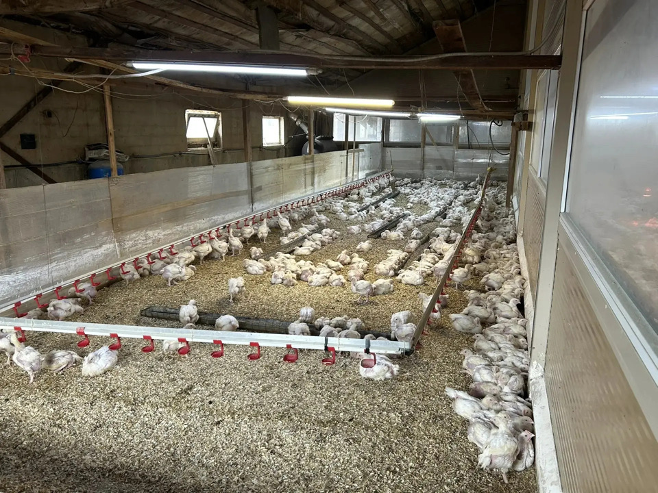 Стартовал новый набор в Школу фермера в Ленобласти