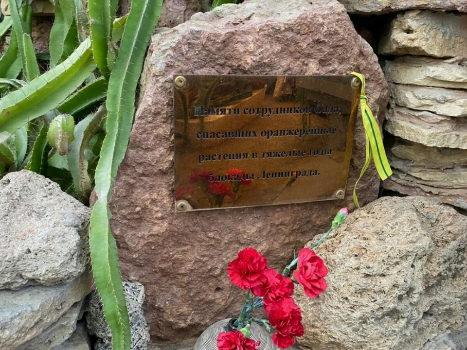 «Потомкам передать величье непобедимой красоты…»