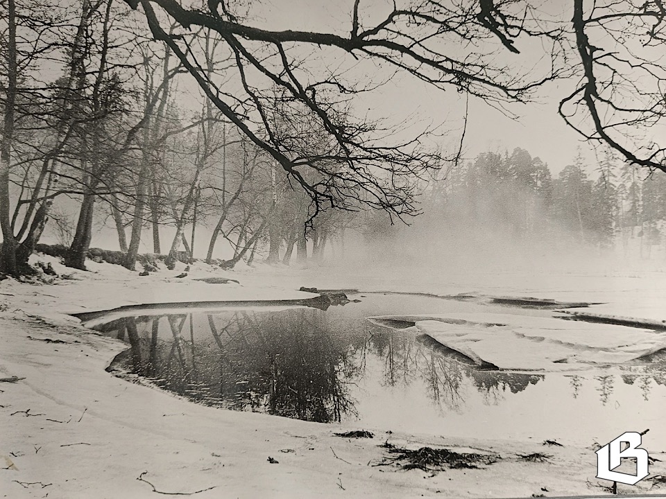 Выставка фотографий Владимира Позднякова в Монрепо