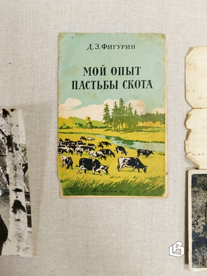 «Ночь музеев» в Выборгском замке: как заселяли Карельский перешеек