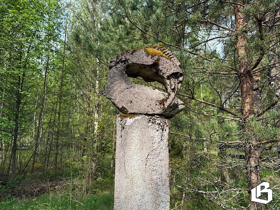 Исчезающая история: «Знаки зодиака» в посёлке Грибное