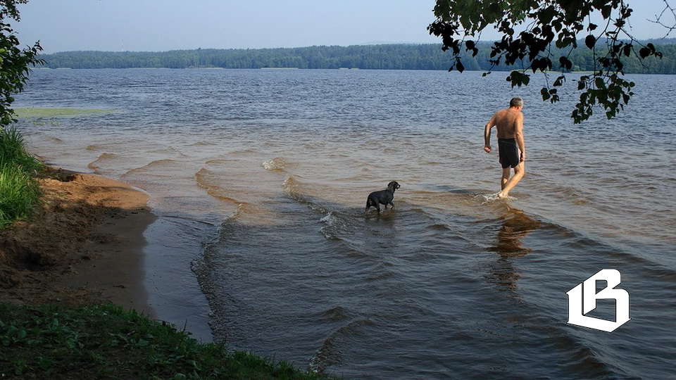 залив пляж 