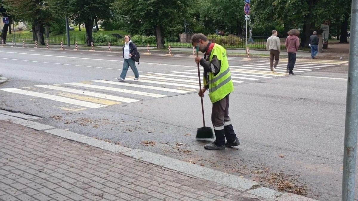 На выборгских улицах чистоту наводят с раннего утра. День за днем