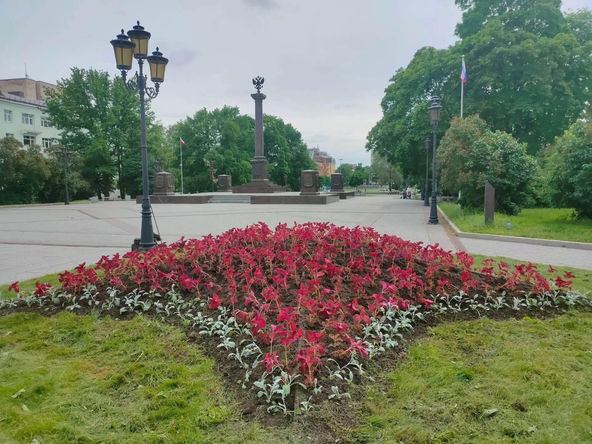 Итоги лета. Какие растения стали символами выборгских цветников в этом году?