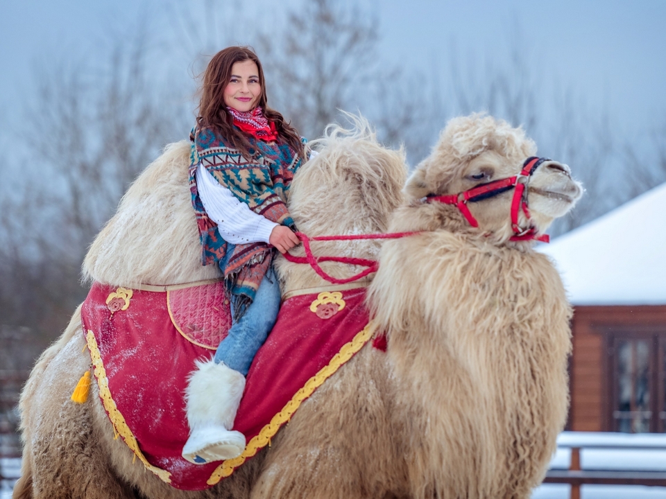 Исцеление через любовь