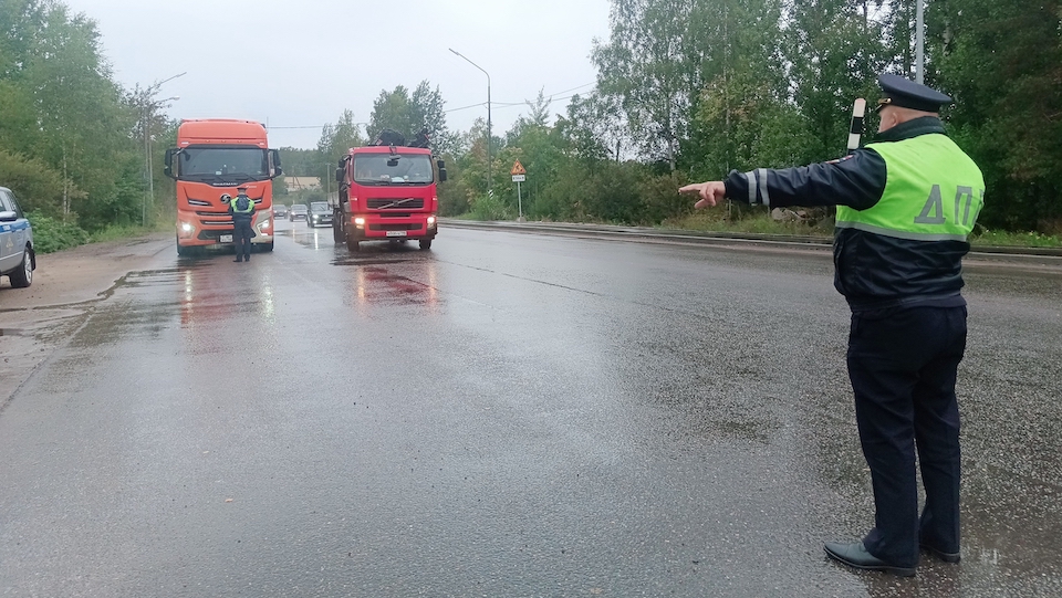 Движение без опасности