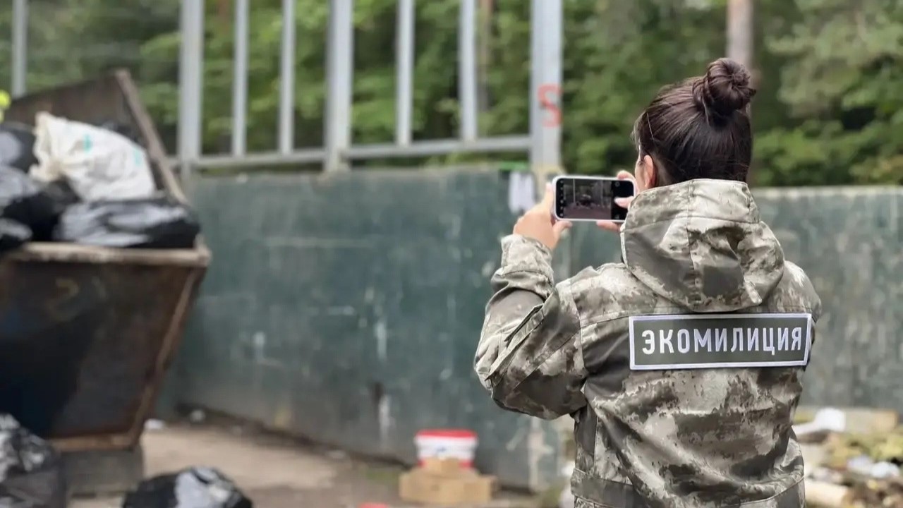 В Ленобласти проверили контейнерные площадки: итоги летних рейдов