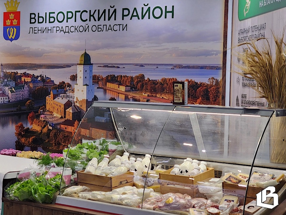 Выборгский район может прокормить себя сам