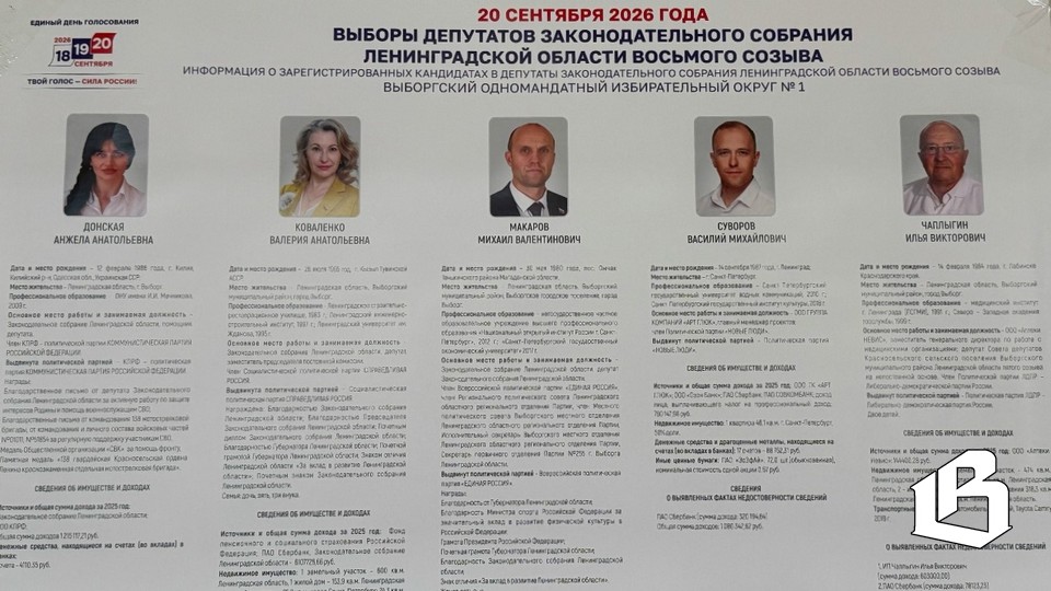 Леноблизбирком подвёл официальные итоги выборов в Законодательное собрание