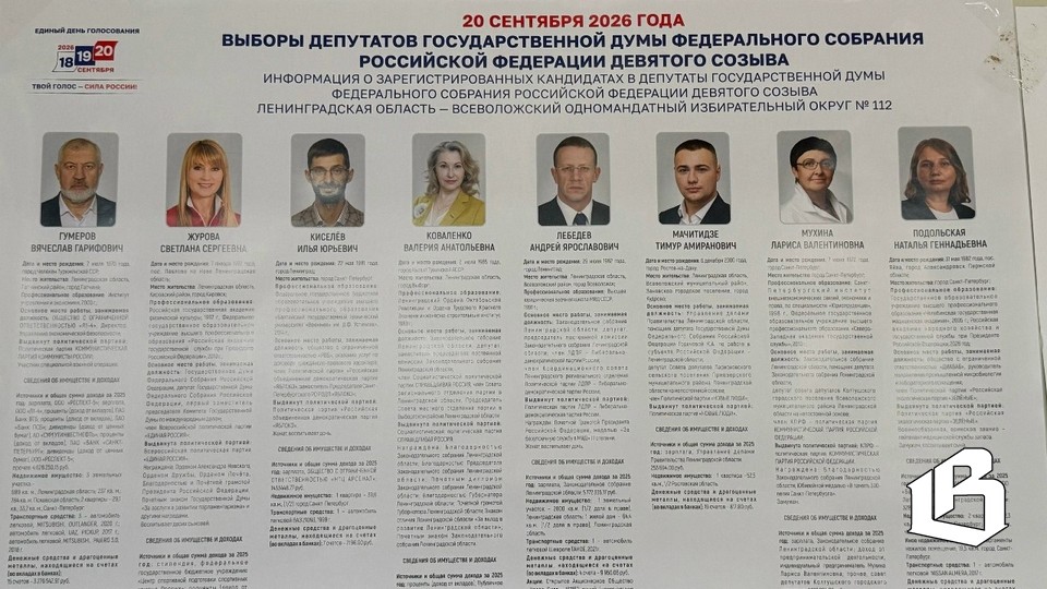 Выборы в Госдуму: итоги подведены