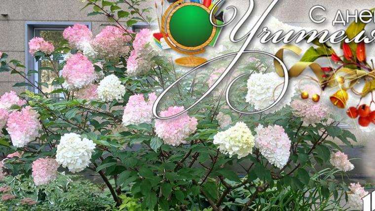 Сегодня День учителя!