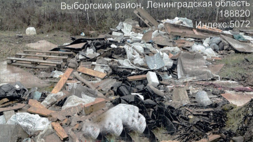 Лес в Выборгском районе очистили от огромной свалки