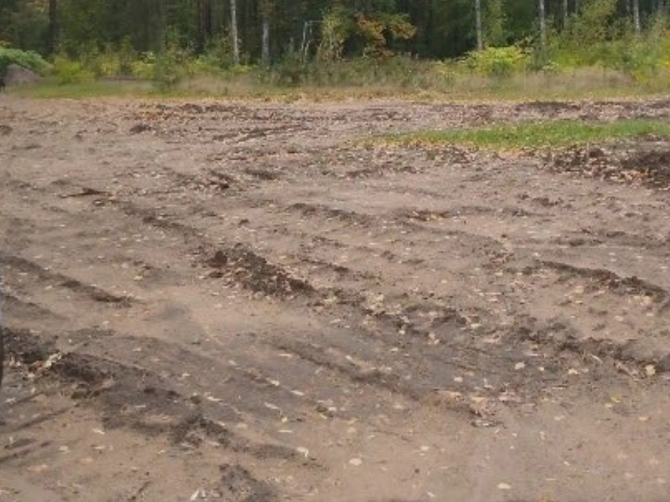 Лес в Выборгском районе очистили от огромной свалки