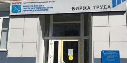 В Выборгском районе в 9 раз выросло количество трудоустроенных