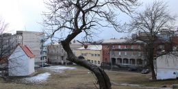 Дом купеческой гильдии в Выборге сидит на "удаленке"