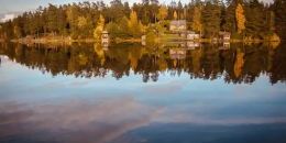 Новый экомаршрут вдоль лесного озера 