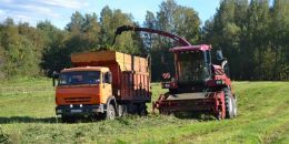 Чиновники и аграрии ЛО обсудили развитие отрасли