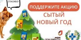 Приносите корм для животных в МФЦ