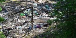  Губернаторские гранты 