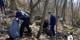 Любой субботник можно внести в интерактивную карту