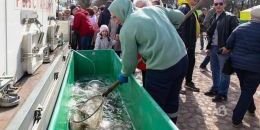 В Выборг в 45-й раз прошла сельскохозяйственная выставка-ярмарка 