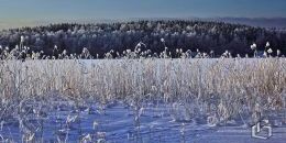 В Финляндии побит температурный рекорд XXI века