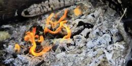 В Ленобласти возросло количество бытовых пожаров