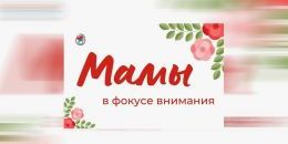 Мамы Ленобласти вновь в фокусе внимания