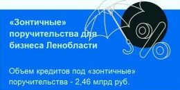 Шить и путешествовать под «зонтиком»