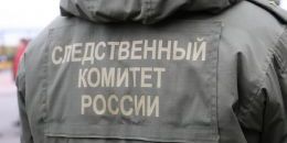 Мать пострадавшего в выборгской школе ребенка добилась возбуждения уголовного дела