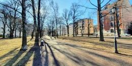 В Выборге стартовал второй этап преображения Садового сквера 