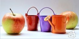 В региональном комитете по АПК ждут заявок на получение субсидий