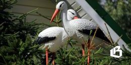 Эксперимент по гостевым домам стартовал в Ленобласти