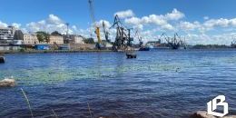 О чём должны знать, но не знают выборжцы