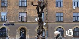 Выборгской «управляйкой» заинтересовалась прокуратура