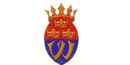 Эта странная геральдика. Герб как иконографический концепт