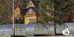 Новые возможности дачной амнистии