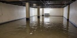 В правительстве Ленобласти вновь заговорили о подвалах