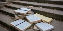 В России каждый десятый студент покинул вуз в первый год обучения