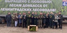 Ленобласть отправила 740 тысяч саженцев на Донбасс