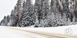 В Ленобласти работает Снежный штаб