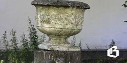 В Выборгском районе выбирают общественные территории для благоустройства